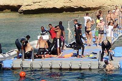 Выжившие после встречи с акулой: реальные фотосвидетельства