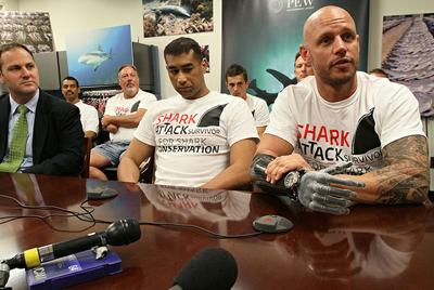 Выжившие после встречи с акулой: реальные фотосвидетельства