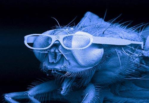 Журнал National Geographic News выбрал фаворитов