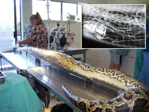 Журнал National Geographic News выбрал фаворитов