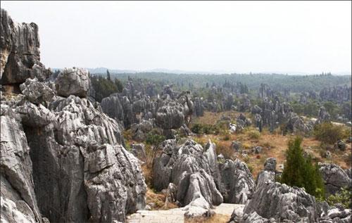«Каменный лес» притягивает влюблённых