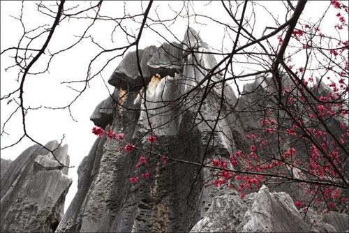 «Каменный лес» притягивает влюблённых