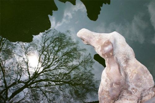 «Каменный лес» притягивает влюблённых