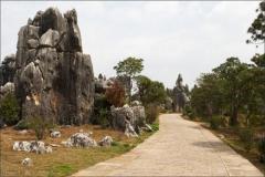 «Каменный лес» притягивает влюблённых