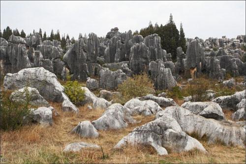 «Каменный лес» притягивает влюблённых