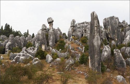 «Каменный лес» притягивает влюблённых