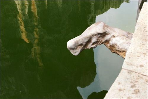 «Каменный лес» притягивает влюблённых