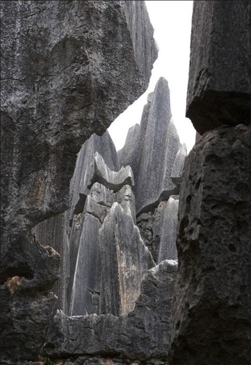 «Каменный лес» притягивает влюблённых