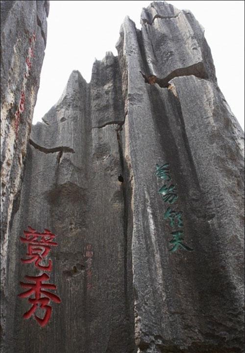 «Каменный лес» притягивает влюблённых