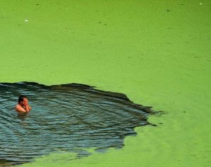 10 самых загрязненных рек планеты