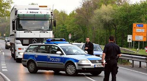 Беременная корова напугала жителей Ганновера