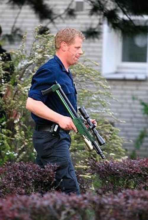 Беременная корова напугала жителей Ганновера