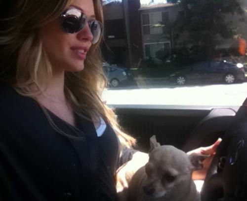 Последние фото звезд из твиттеров