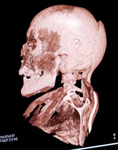 Выставка «Мумии мира» в Филадельфии