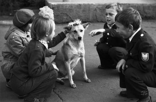 Авторов этих фото уволили с работы