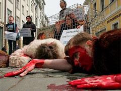 Защитники животных провели кровавую акцию