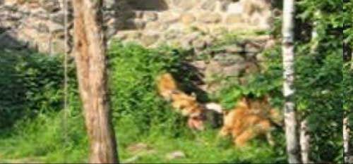 Предсмертные фото: снято за несколько секунд до гибели…