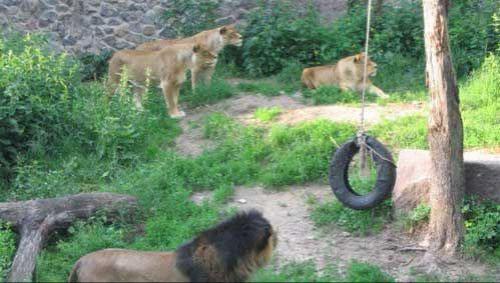 Предсмертные фото: снято за несколько секунд до гибели…