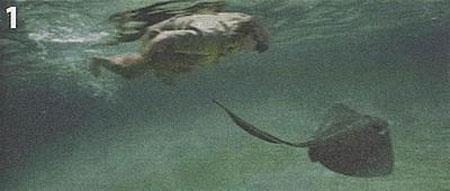 Предсмертные фото: снято за несколько секунд до гибели…