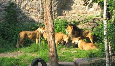 Предсмертные фото: снято за несколько секунд до гибели…