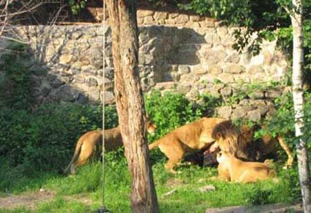 Предсмертные фото: снято за несколько секунд до гибели…