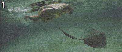 15 экстремалов, погибших во время выполнения трюков