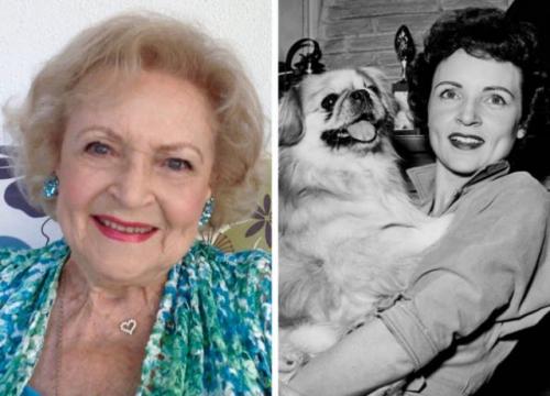 20 знаменитых актрис тогда и сейчас