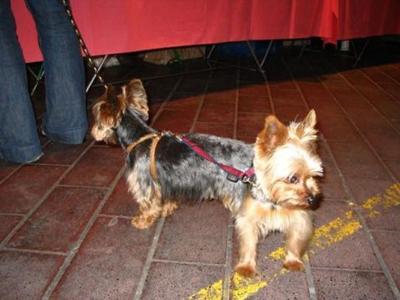 К чему может привести неудачный ракурс фотосъемки