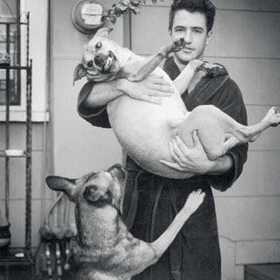 Звезды до 10 утра