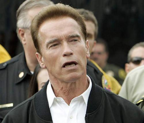 12 известных спортсменов, ставших успешными политиками