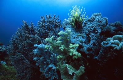 25 уголков Земли, которые необходимо увидеть каждому