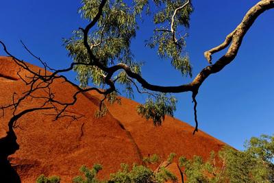 25 уголков Земли, которые необходимо увидеть каждому