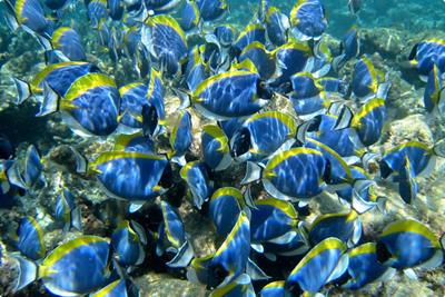 25 уголков Земли, которые необходимо увидеть каждому