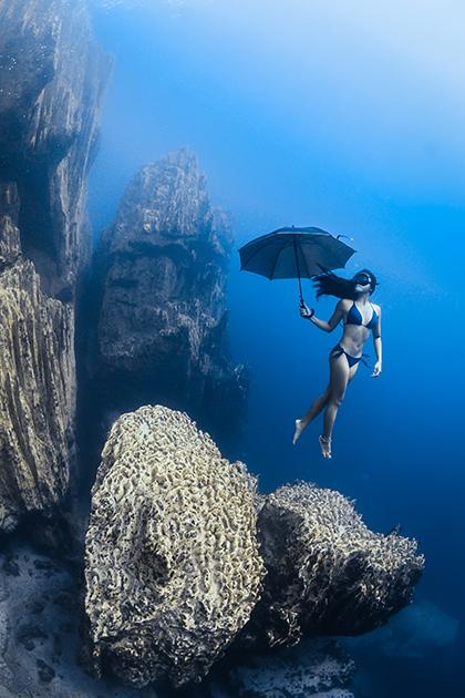 Победители конкурса «Подводный фотограф 2017 года»