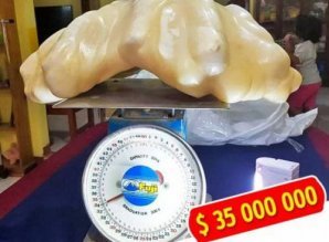 Находки, которые превратили обычных людей в богачей