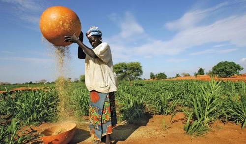 Страны, в которых придётся учить сотни языков