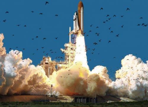 Вечный полет: космонавты, погибшие на работе