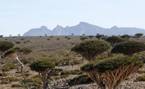Прогулка по острову с "другой планеты"