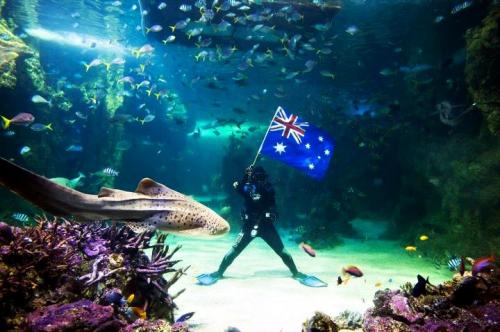Самые популярные океанариумы мира