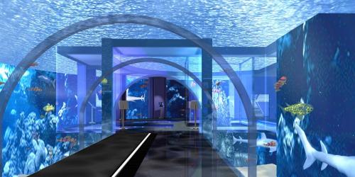 Самые популярные океанариумы мира