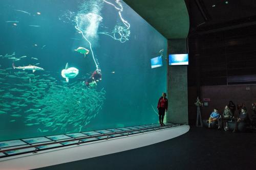 Самые популярные океанариумы мира