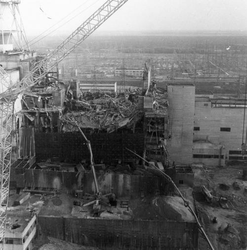 Мутанты Чернобыля: шокирующие фотосвидетельства трагедии