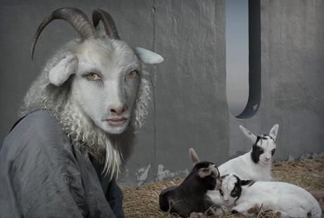 Фотопроект Manimals: зловещие портреты из Китайского календаря