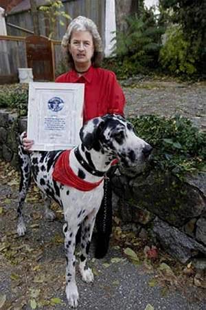 «Собака Баскервилей» родом из Калифорнии…