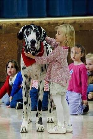 «Собака Баскервилей» родом из Калифорнии…