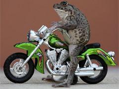 Шоу "Лягушка на "Харлее" завоевывает мир