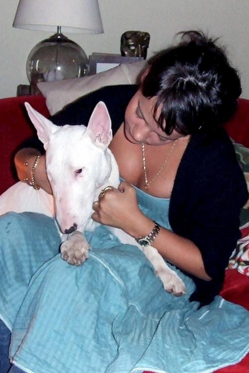 Звездные питомцы: собаки знаменитостей