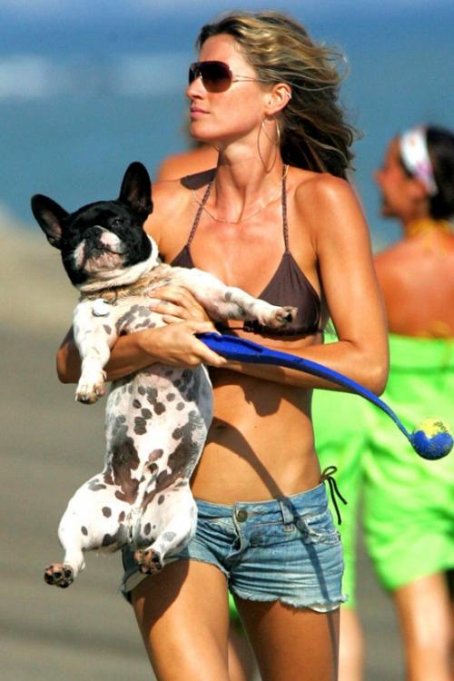 Звездные питомцы: собаки знаменитостей