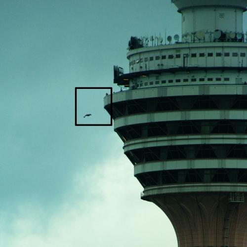 98 прыгунов сигануло с обзорной башни в Куала-Лумпуре