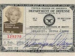 Паспорта западных и российских знаменитостей